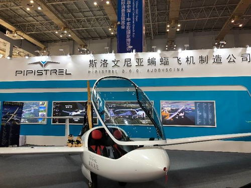 高技術與特色產品亮相中東歐博覽會，推動國際技術開發合作